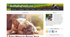 Desktop Screenshot of healthydogforlife.com